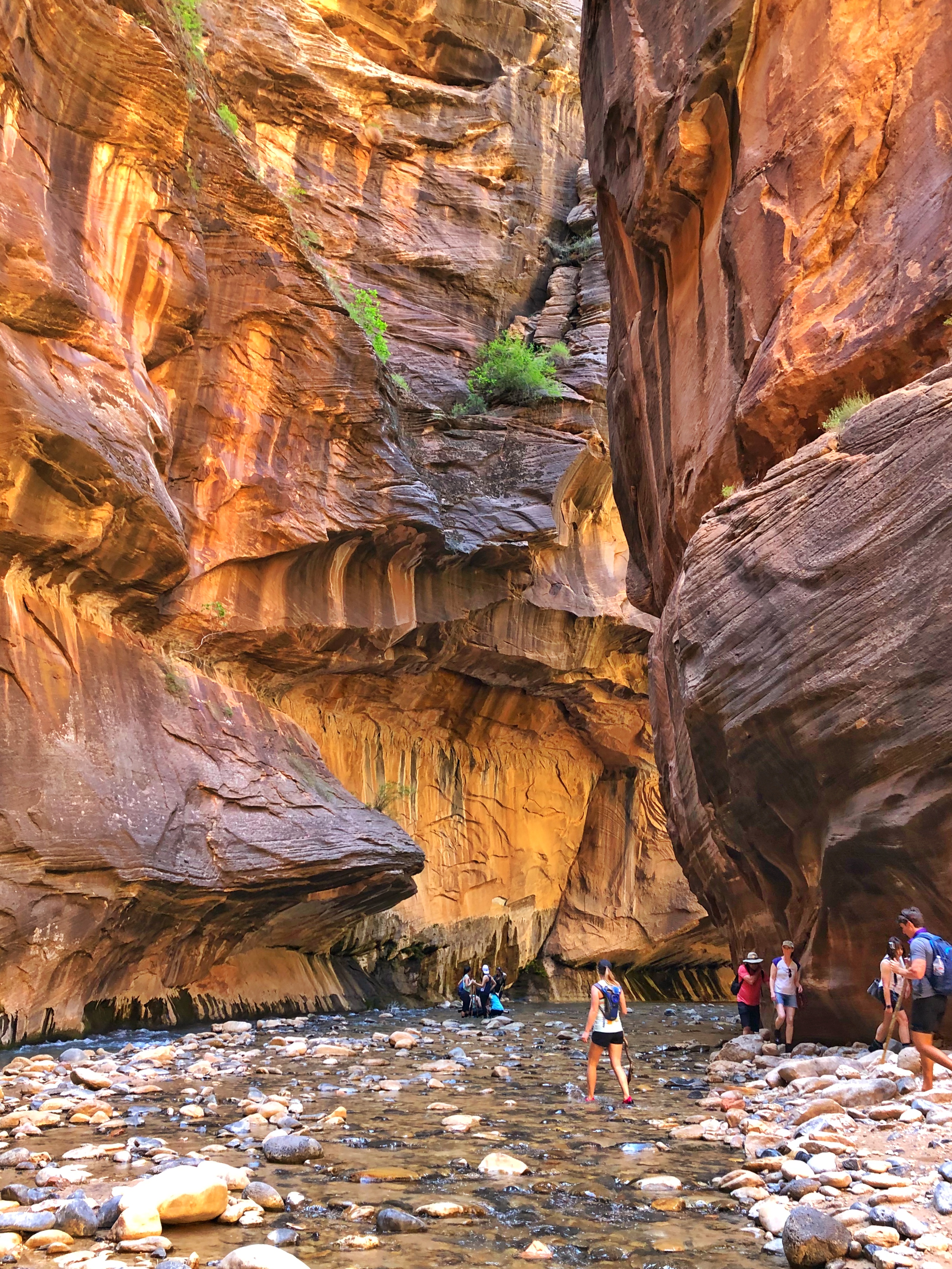 JPEG image-585F47EDAB09-1