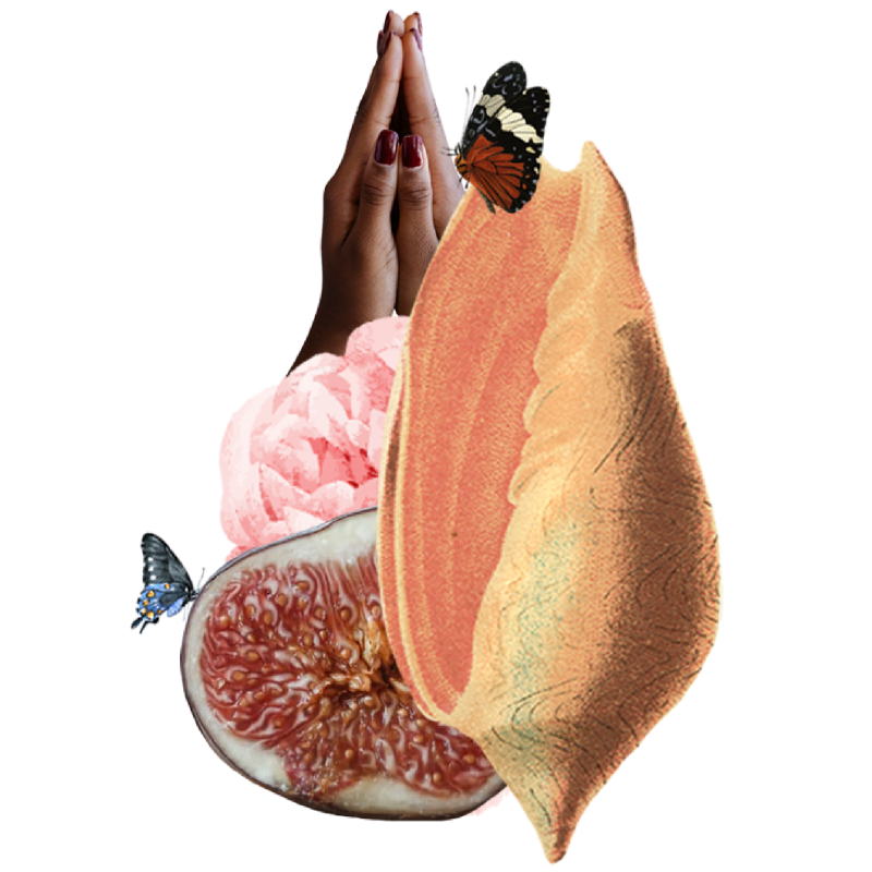 Pleasure shell with hands, fruits and butterfly