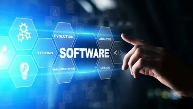 Software Development Services for Digital Business Growth