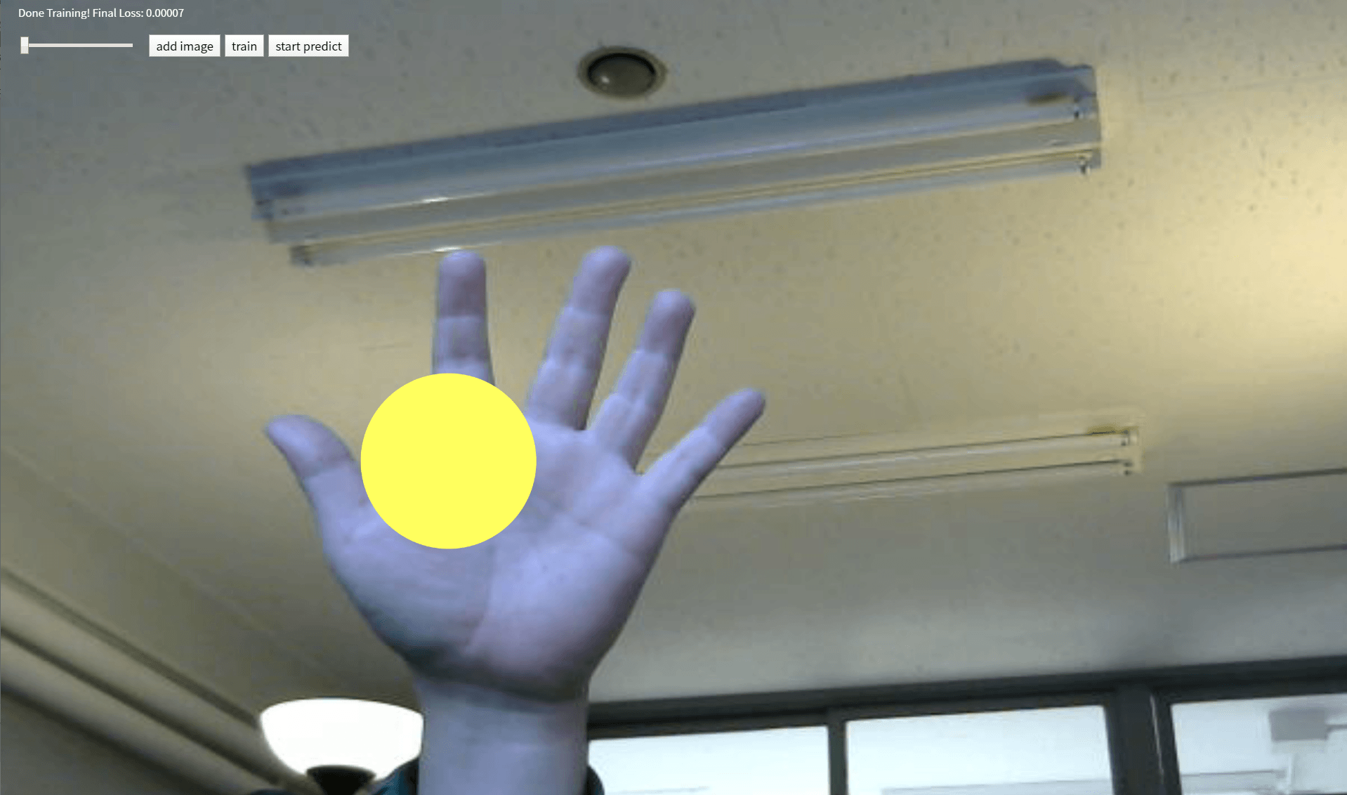 湿地の動植物 - 湿地の動植物の特徴