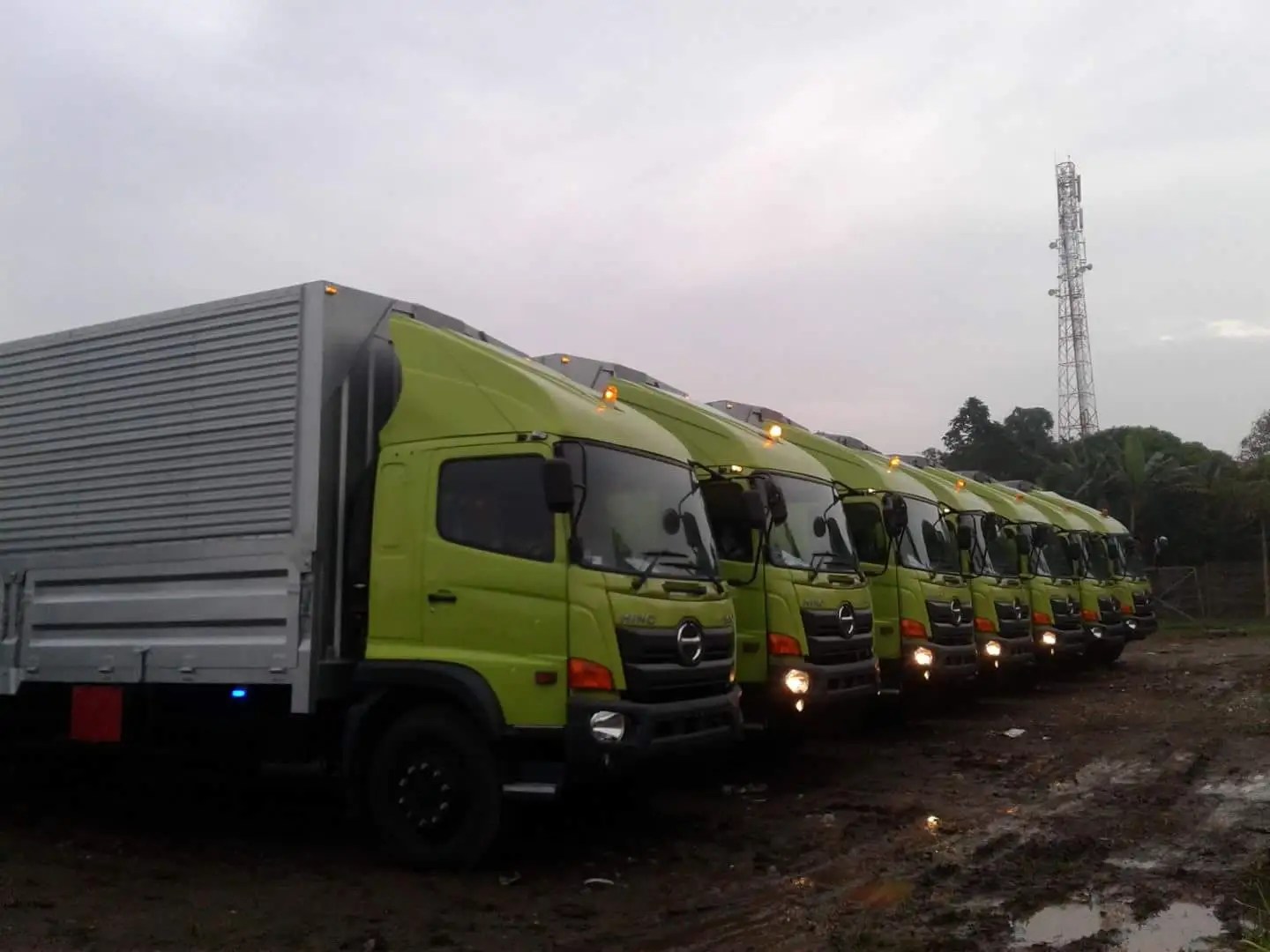 Sewa Truk Tronton Untuk Layanan Logistik Yosua Logistik