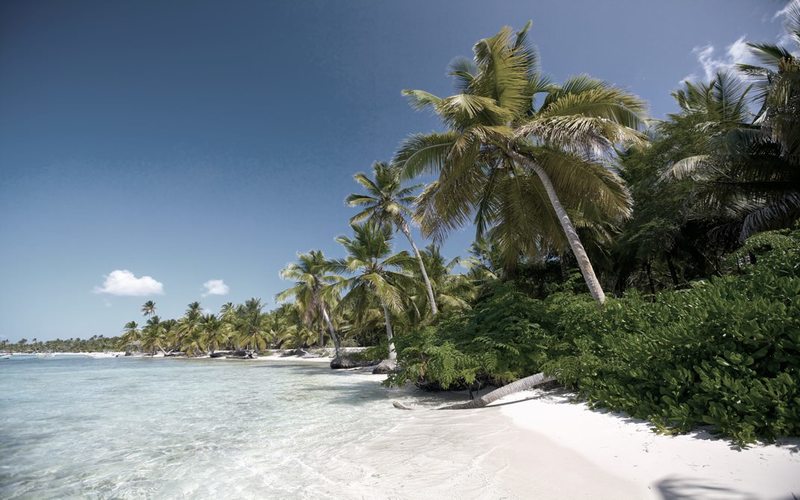 Discover The Highlights Of The Caribbean With The Carnival