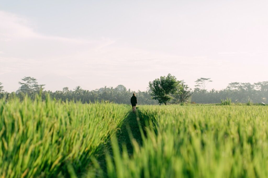 canggu
