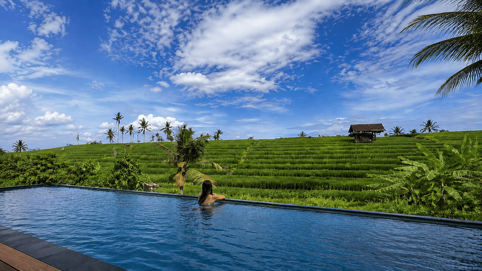 Bellevue Villa Complex Type Pearl infinity pool overlooking rice fields, Pererenan.