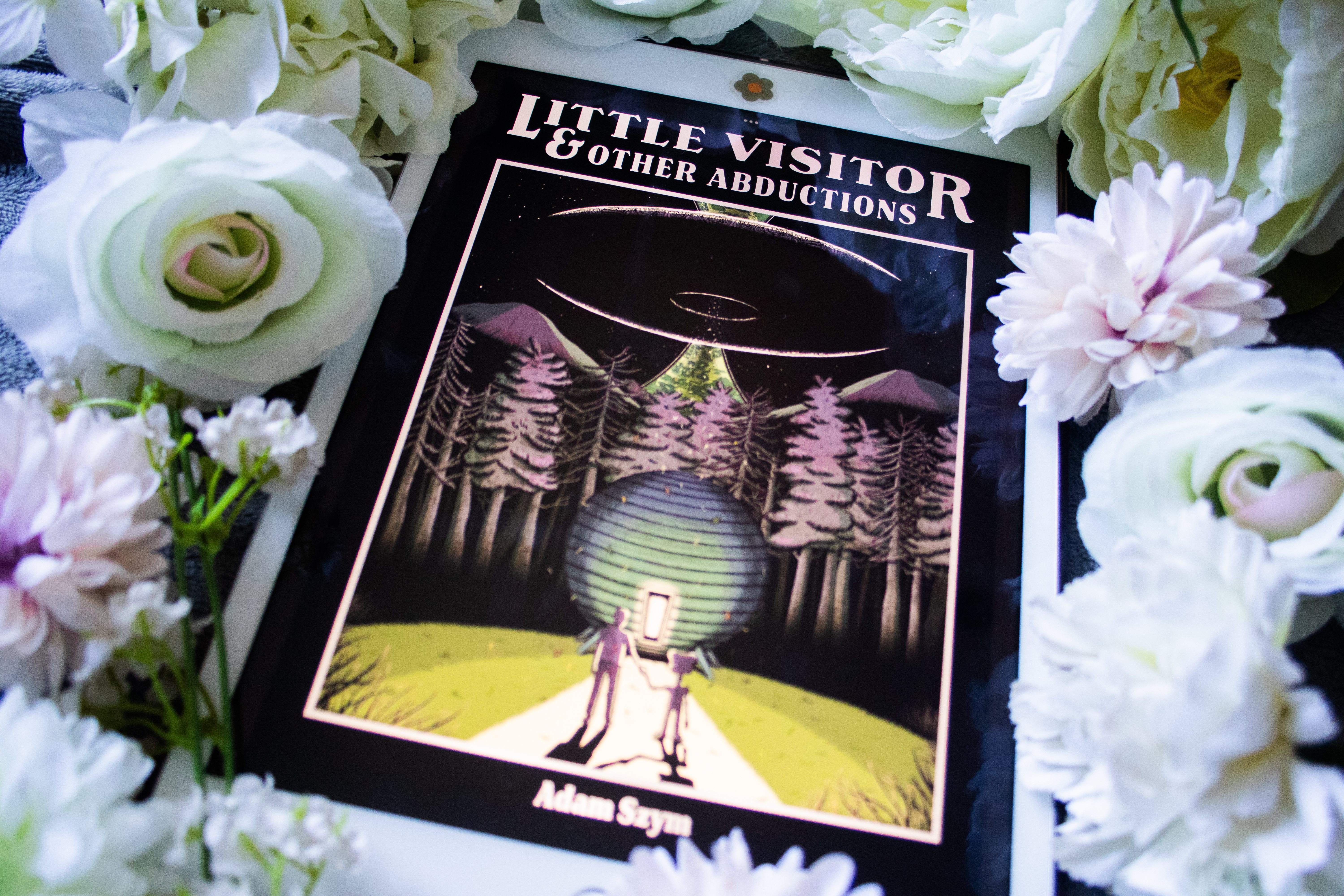 ARC Review: Little Visitor & Other Abductions by Adam Szym - Young