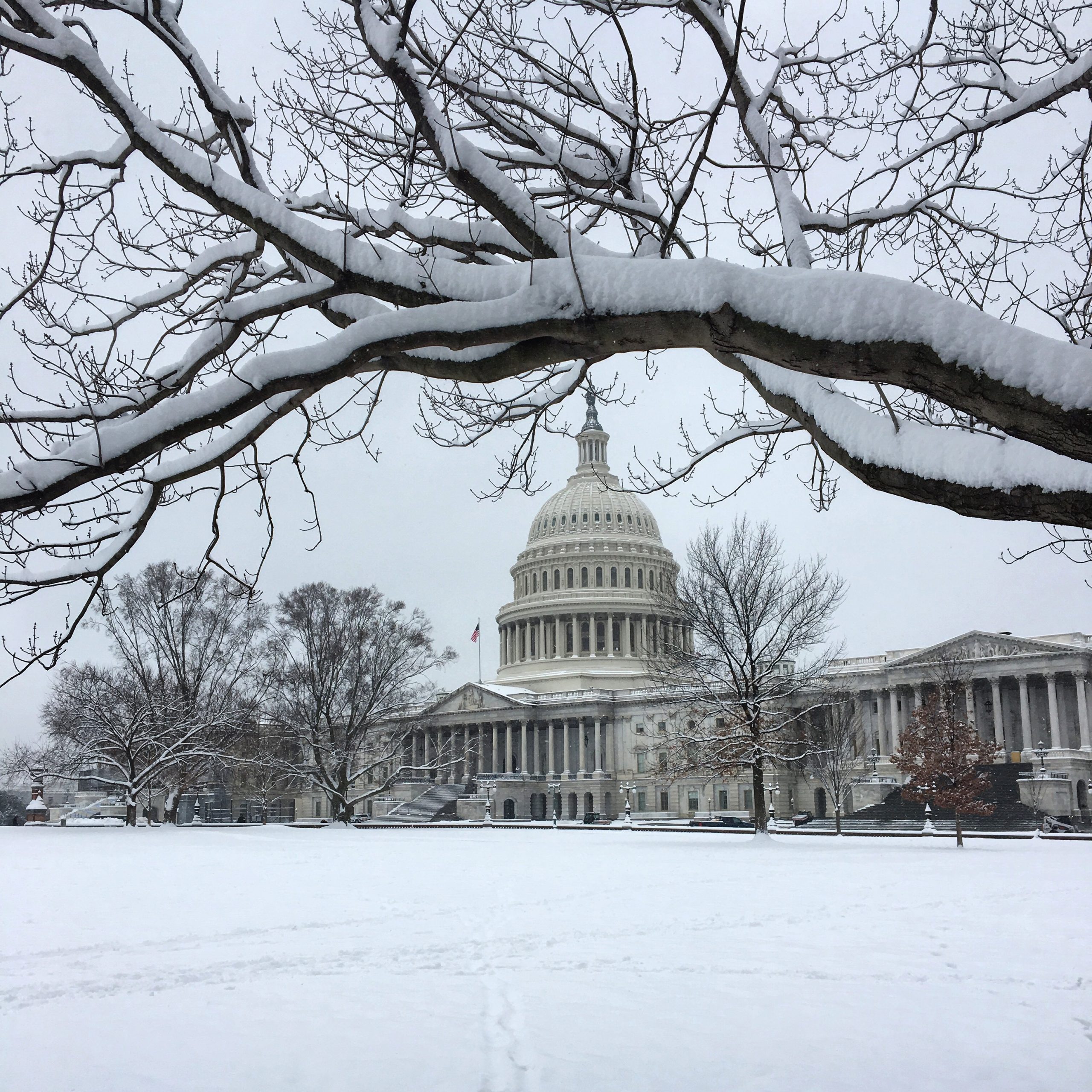 washington dc snow capitol building