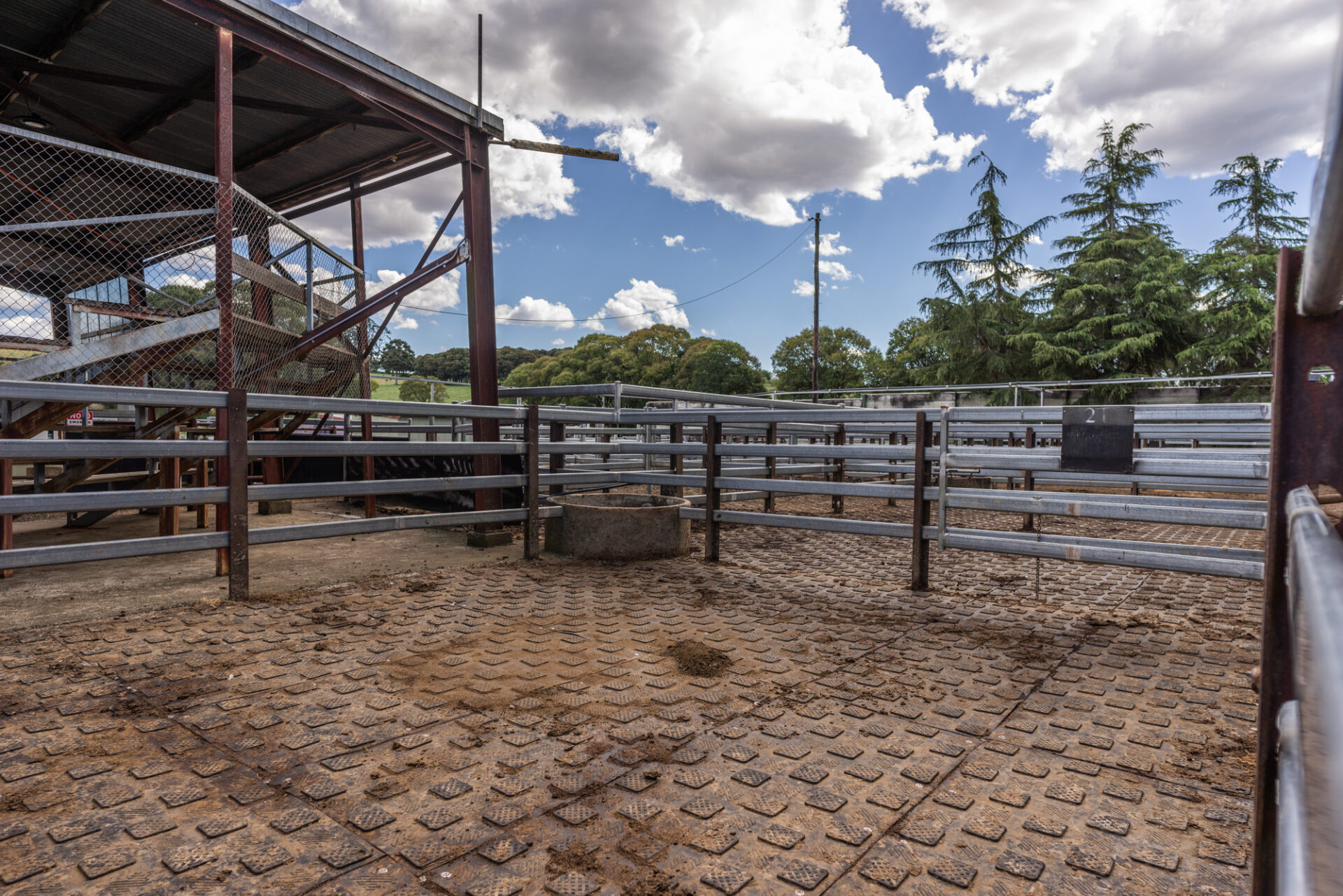 YoungStar Matting at Dorrigo Saleyards