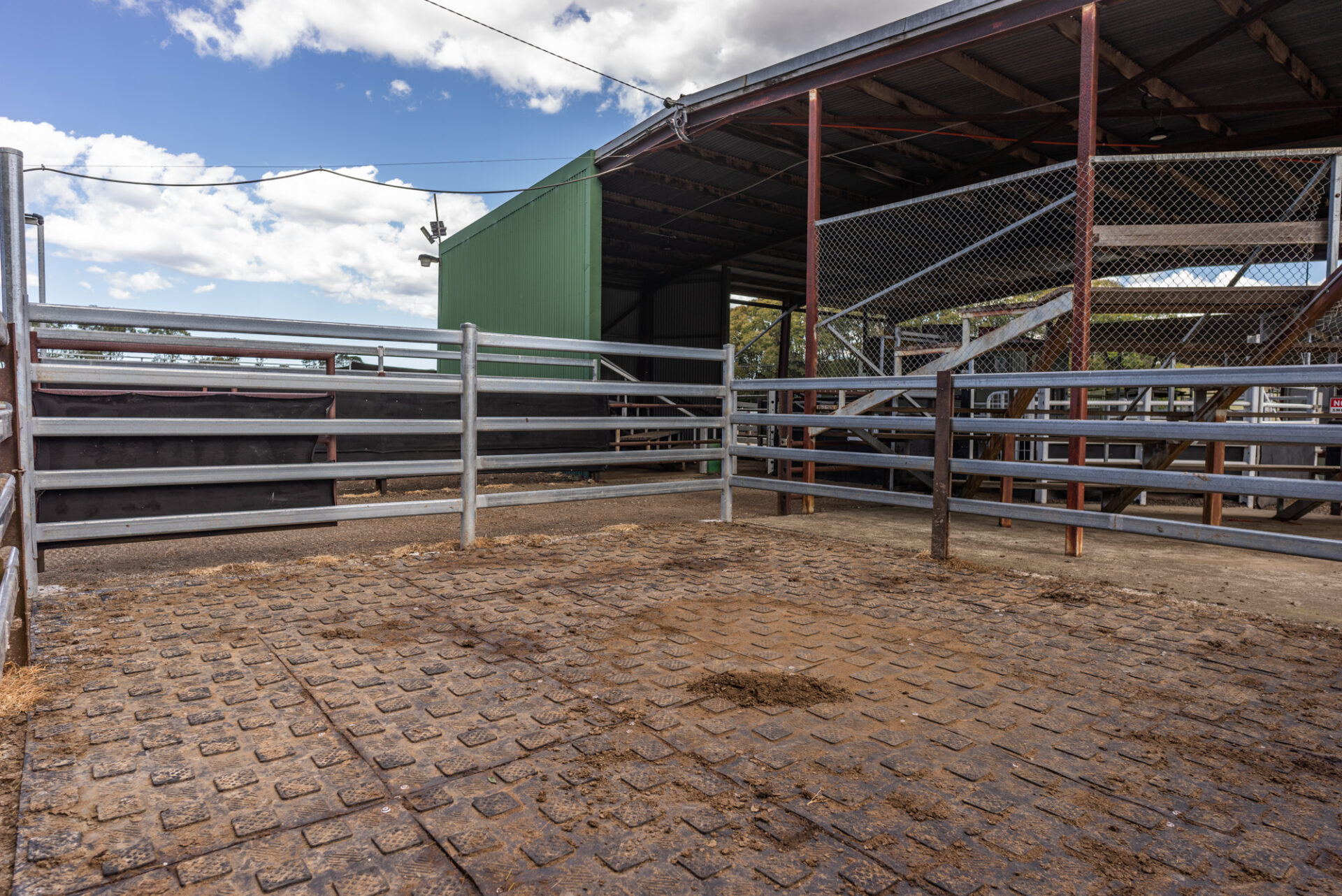 YoungStar Matting at Dorrigo Saleyards