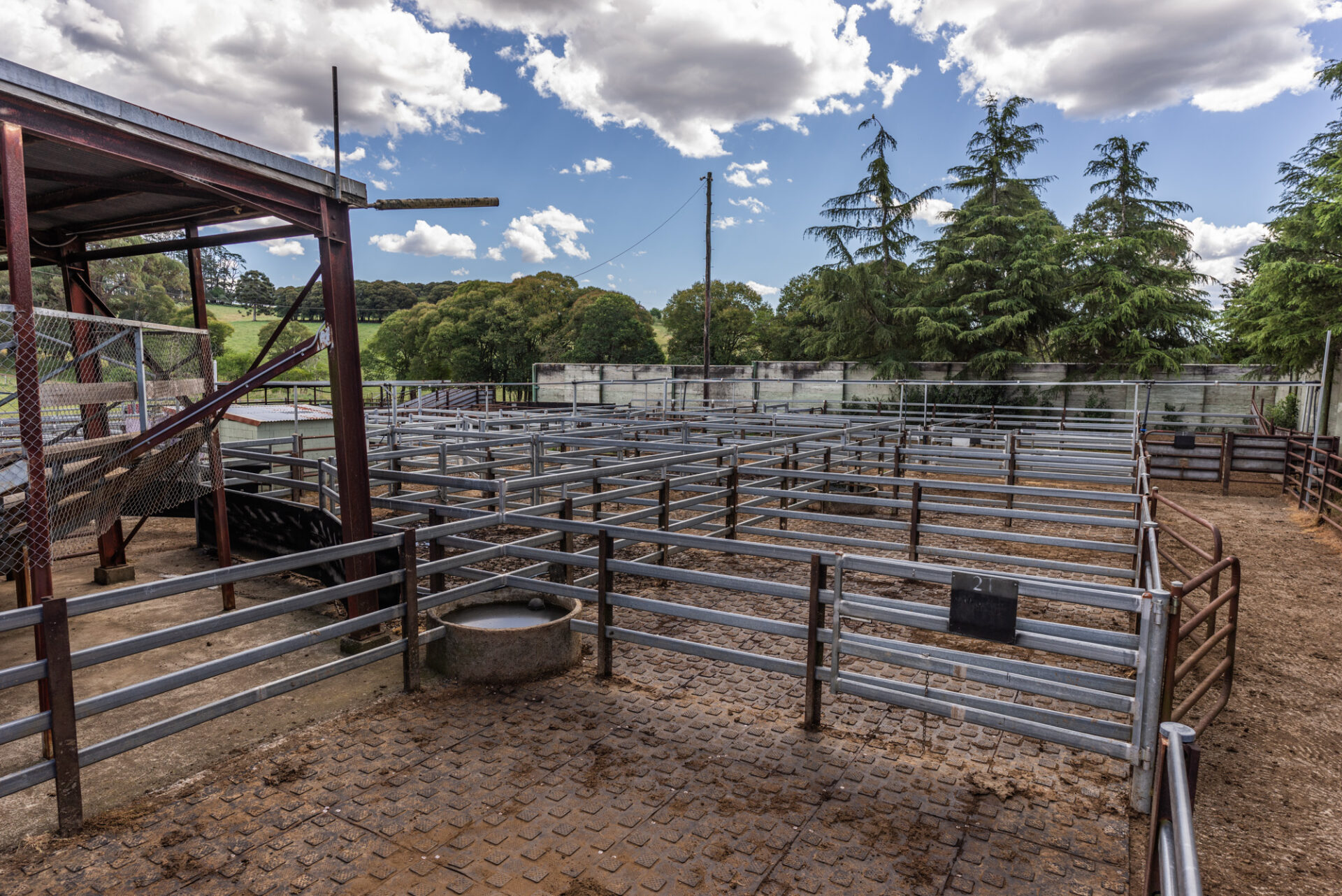 YoungStar Matting at Dorrigo Saleyards