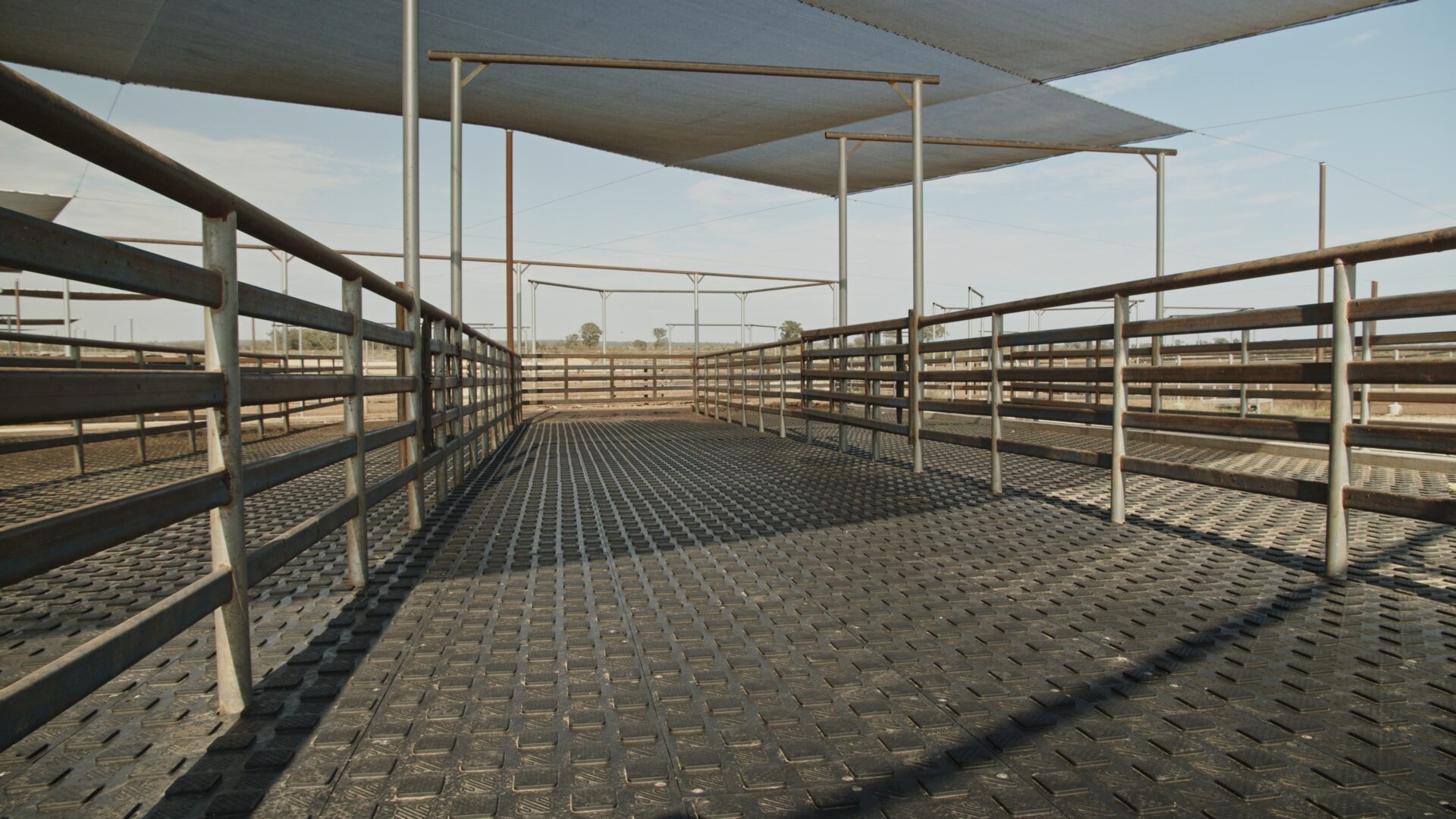 grassdale beef feedlot