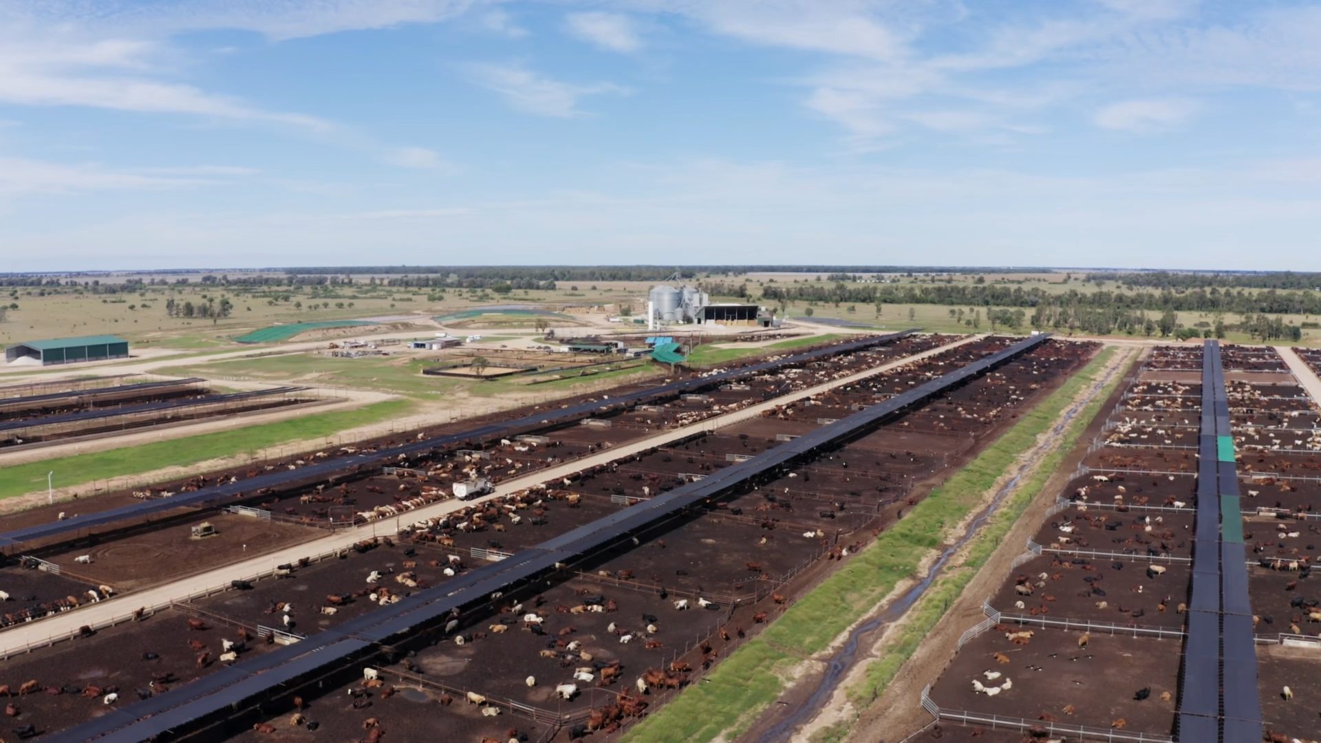 teys condamine