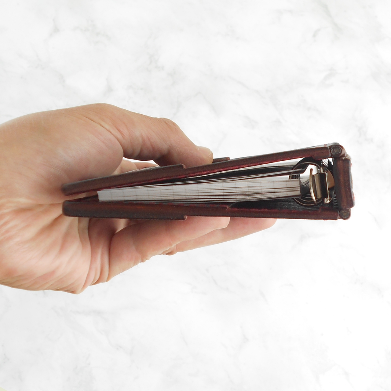 真下から覗きこんだ様子