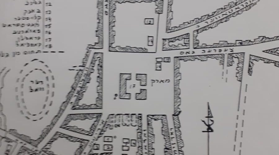 image5 image5