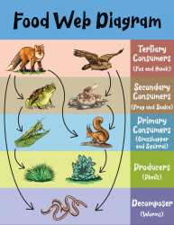 Diagram dictionary definition | diagram defined