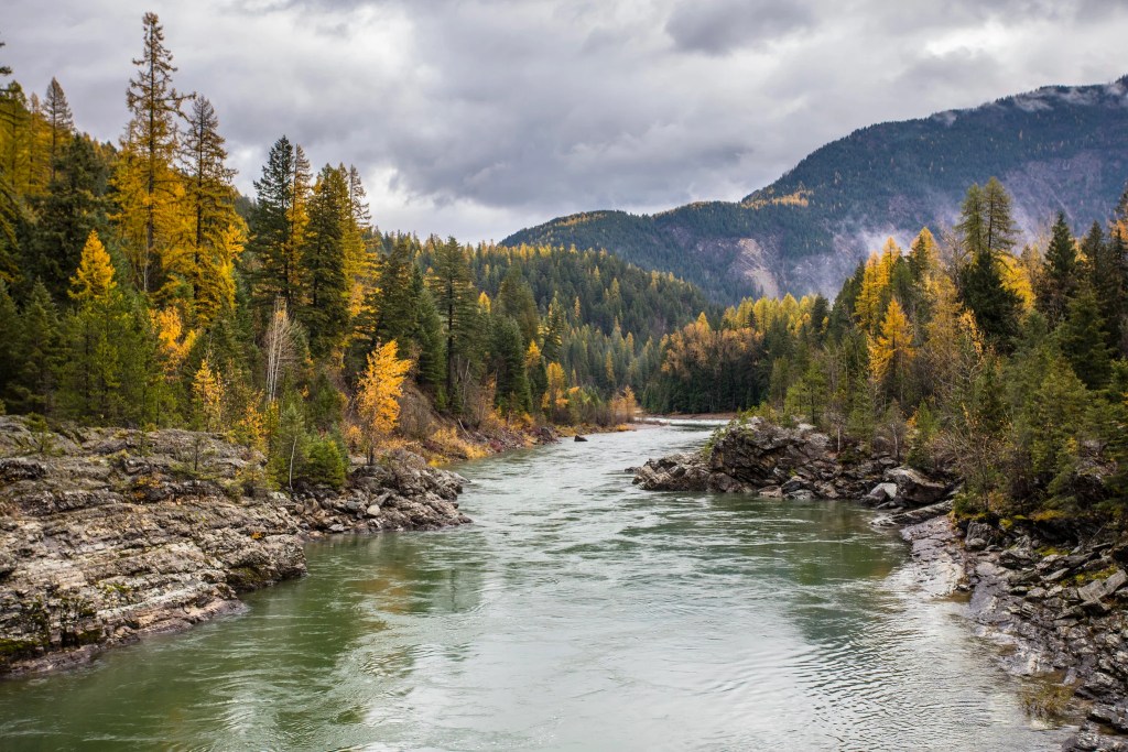 Flathead River In The Fall