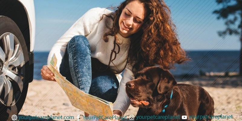 travel with Pets