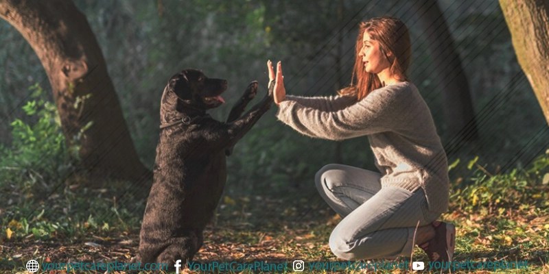 Positive Reinforcement