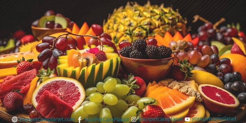 What Fruits Can Cats Eat?