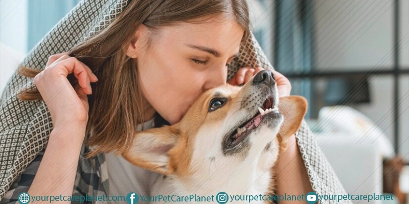 How to Care for a Puppy