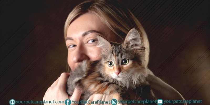 A Guide to Winning Your Cat's Heart