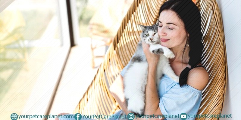 Keeping Your Cat Happy