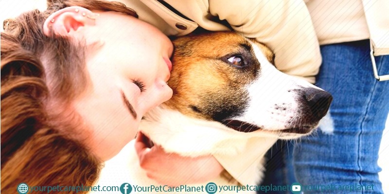 Eye Problems In Dogs