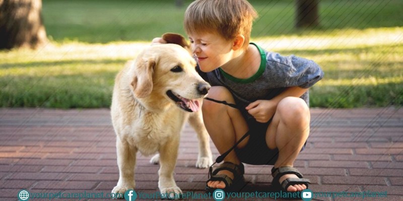 Tricks To Teach Your Dog
