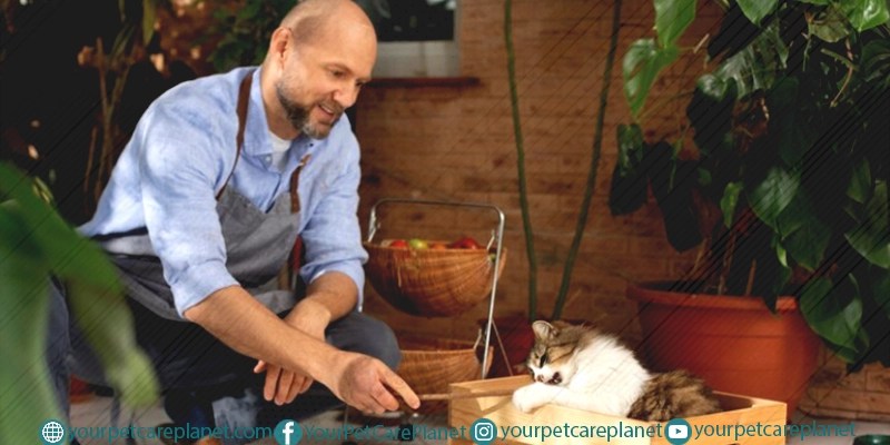 Pet Garden