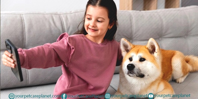 Submissive Dog Behaviors