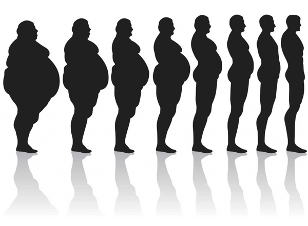 Looking for the Perfect Diet