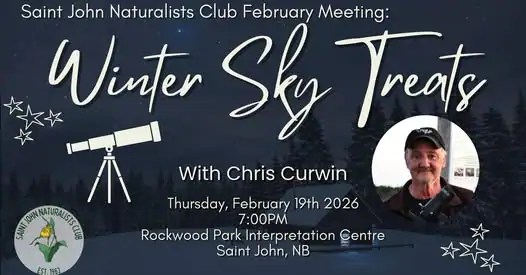 Winter Sky Wonders: A Journey with Chris Curwin, Saint John's Astronomy Expert (2026)