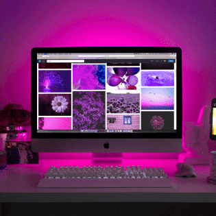 web designs in your signs world