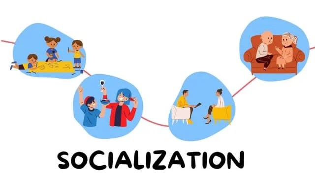 Socialization