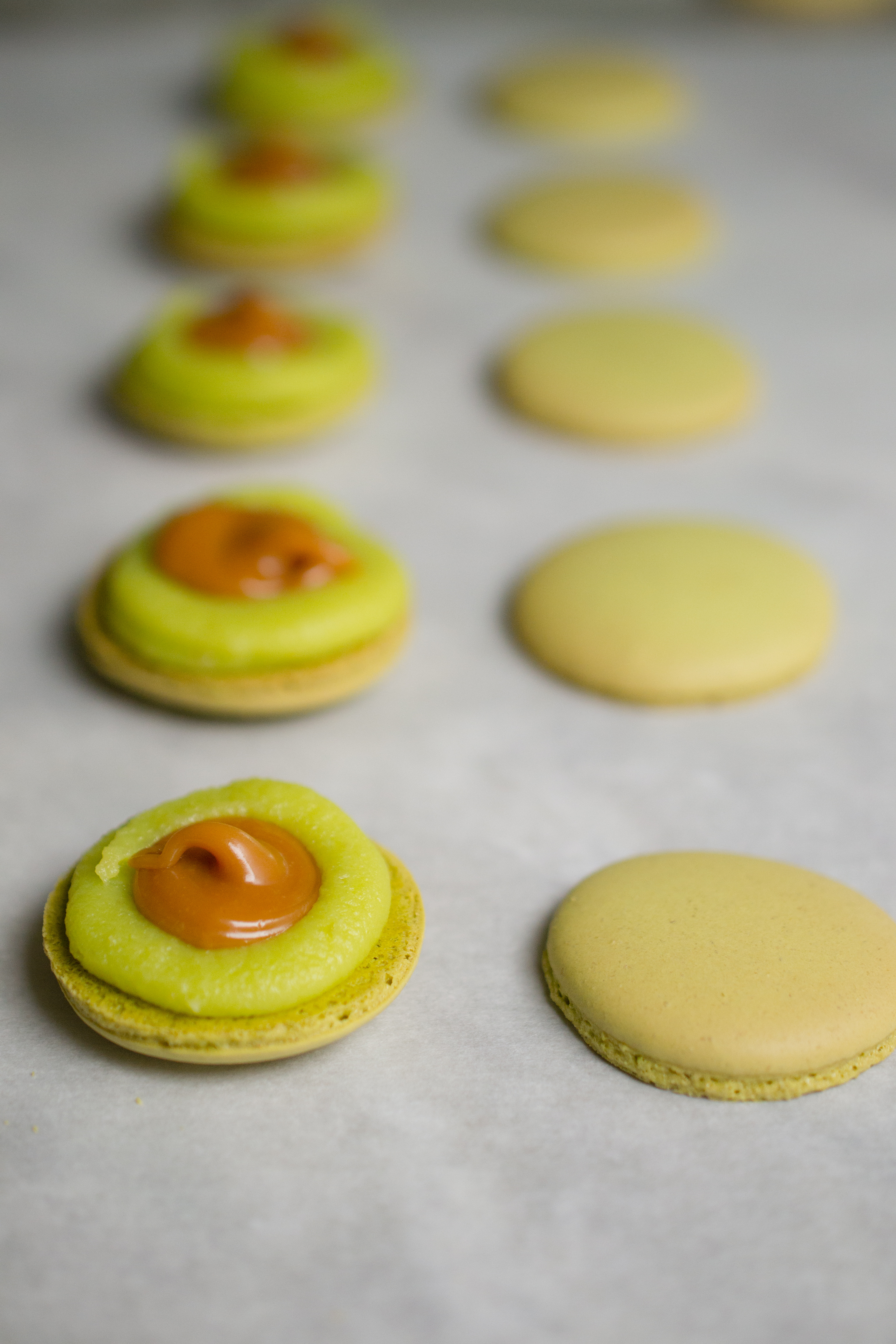 open facing macarons in a line
