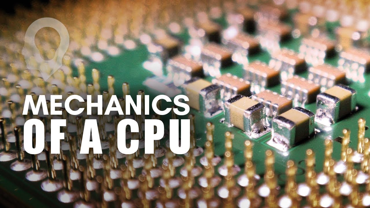 The Evolution Of CPU Processing Power Part 1: The Mechanics Of A CPU ...