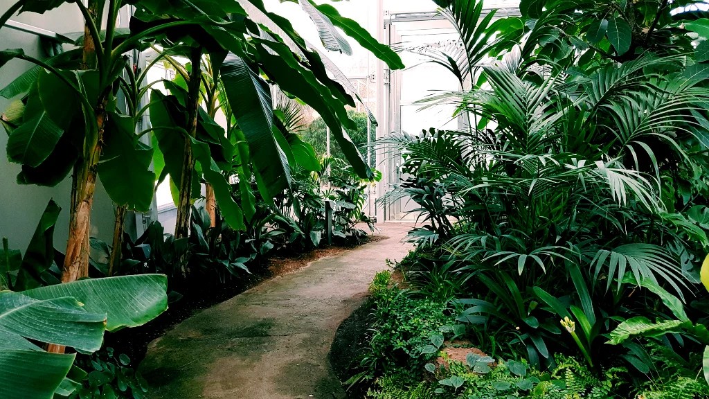 Japanese Scientists Capture Plants Communicating with Each Other on Video