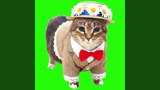 OIIA OIIA DAISY BELL Spinning CAT (Sped Up) (XertXetin Remix) - DaisyOIIA