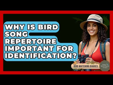 Why Is Bird Song Repertoire Important For Identification? - Bird Watching Diaries