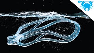 DNA Diamond | Clearly Better