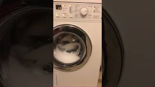 Late night wash 40 degree cotton with short and water plus