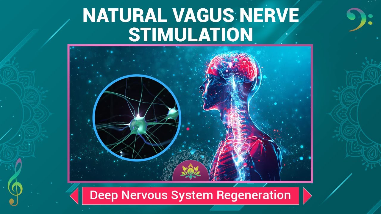 Natural Vagus Nerve Stimulation Deep Nervous System Regeneration
