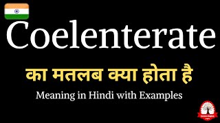 Coelenterate Meaning in Hindi | Coelenterate का मतलब क्या होता है? | Vocabulary with Examples