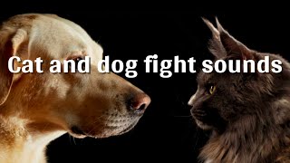 Cat and dog fight sounds