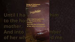 Song of Solomon 3:1-11 (NKJV)