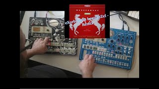 Wassermann - W.I.R. (eXorbitante beatfuzZel Remix)