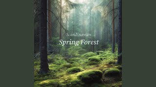 Forest Birds Singing in the Gentle Breeze - Nordic Wilderness