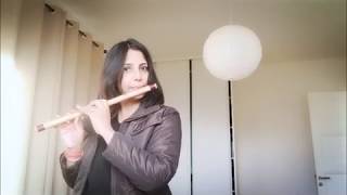 "Padmaavat Song" Ghoomar: Deepika Padukone, Ranveer Singh with Flute notations