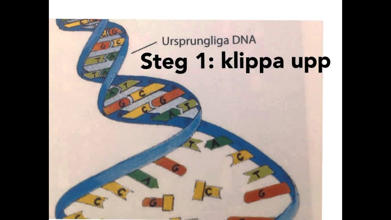 Genetik Del 3 Youtube - Download Incredible Vintage Pattern | 4K