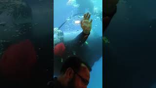 AQUAMAN  MAN OF THE WATER 🌊
