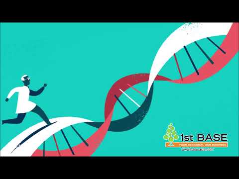Guide To Successsful Sequencing